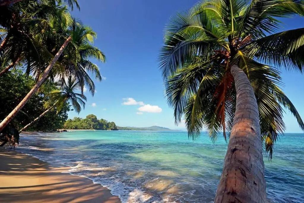 Puerto Viejo de Talamanca Roca Mar Rocawelch Puerto Viejo 아파트 호텔 외부 사진